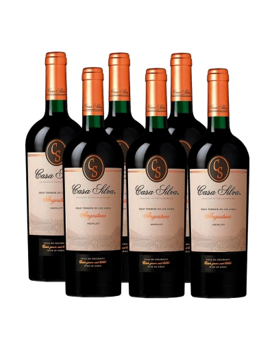 Pack 6 vinos, Merlot, Gran Terroir, Casa Silva