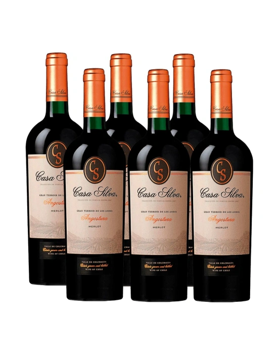 Pack 6 vinos, Merlot, Gran Terroir, Casa Silva