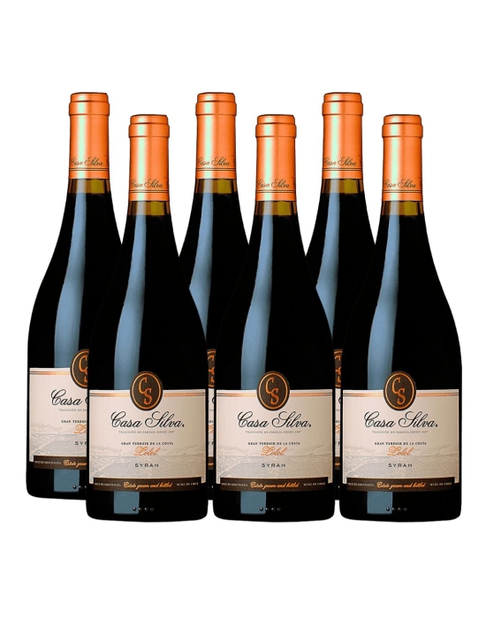 Pack 6 vinos, Syrah, Gran Terroir, Casa Silva, Lolol