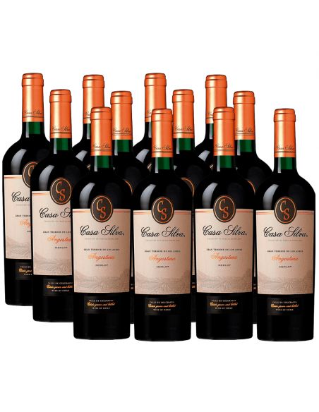 Pack 12 vinos, Merlot, Gran Terroir, Casa Silva