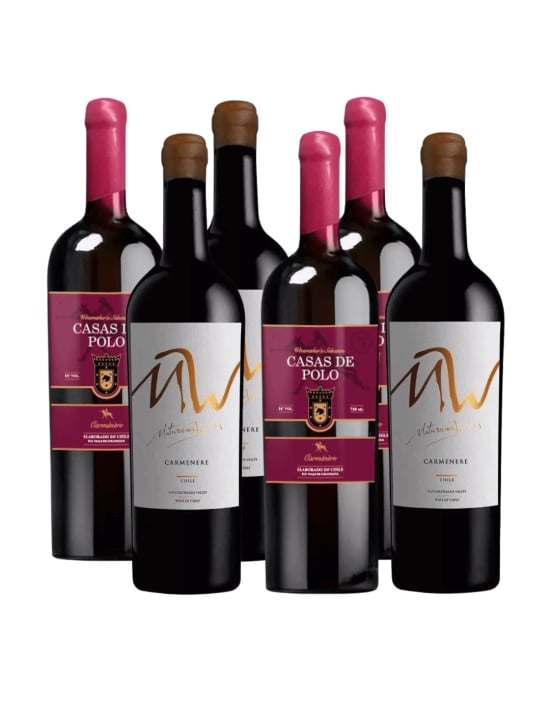 Pack 6 Mix Vinos Iconos Maturana Wines, Casas de Polo Wine