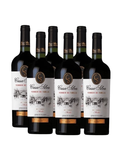 Pack 6 Vinos Merlot, Terroir de Familia Reserva, Casa Silva