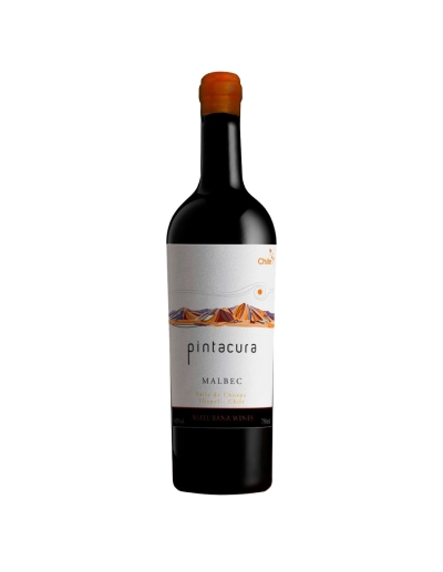 Malbec, Ícono, Pintacura, Maturana Winery