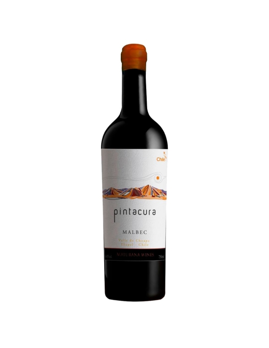 Malbec, Ícono, Pintacura, Maturana Winery