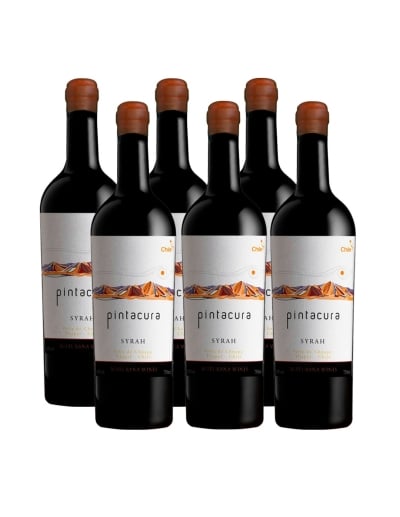 Pack 6 Syrah, Ícono, Pintacura, Maturana Winery