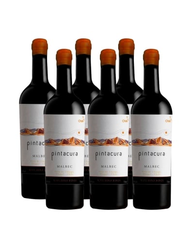 Pack 6 Malbec, Ícono, Pintacura, Maturana Winery
