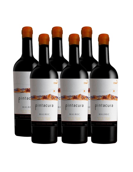Pack 6 Malbec, Ícono, Pintacura, Maturana Winery