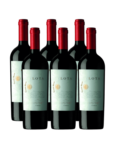Pack 6 lota, Icono, Gran Reserva, viña Cousiño