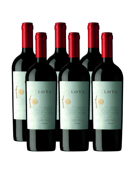 Pack 6 lota, Icono, Gran Reserva, viña Cousiño
