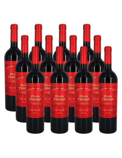 Pack 12 Finis Terrae Premium Blend , Viña Cousiño Macul