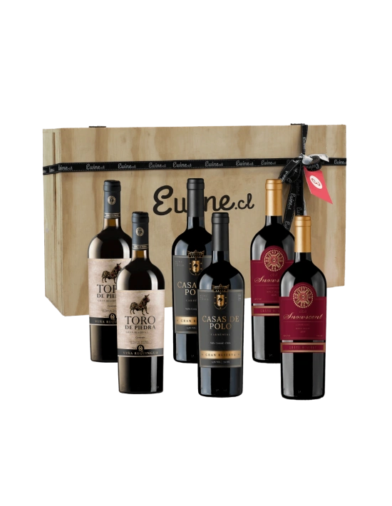Maleta de 6 vinos, Carmenere Gran reserva