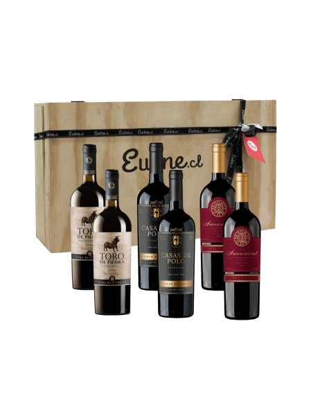 Maleta de 6 vinos, Carmenere Gran reserva