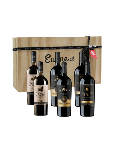 Maleta de 6 vinos, Cabernet Sauvignon Gran reserva