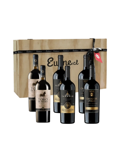 Maleta de 6 vinos, Cabernet Sauvignon Gran reserva
