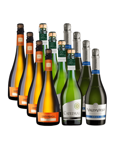 Pack Mix 12 Espumantes Premium