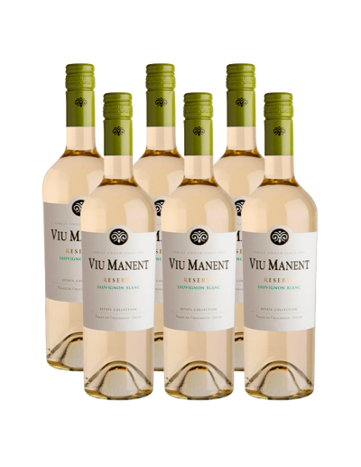 Pack 6 Sauvignon Blanc, Reserva, viu manent