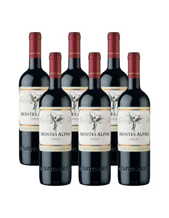 Pack 6 Merlot , premium, montes alpha, viña montes