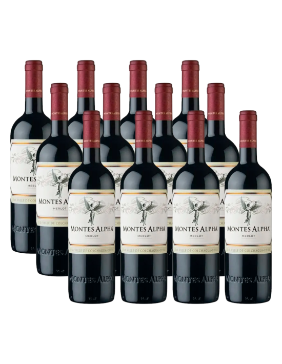 Pack 12 Merlot , premium, montes alpha, viña montes