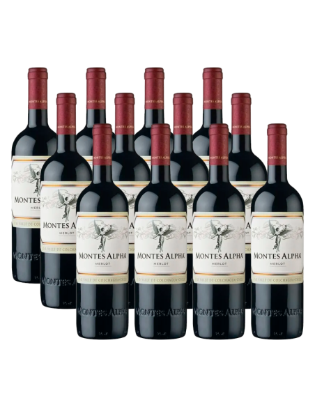 Pack 12 Merlot , premium, montes alpha, viña montes