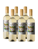Pack 6 Sauvignon Blanc, Reserva, Frida Kahlo, Viña Carmen
