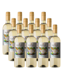 Pack 12 Sauvignon Blanc, Reserva, Frida Kahlo, Viña Carmen