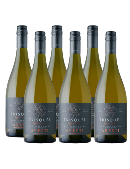 Pack 6 Sauvignon Blanc, Premium, Trisquel Series, Viña Aresti