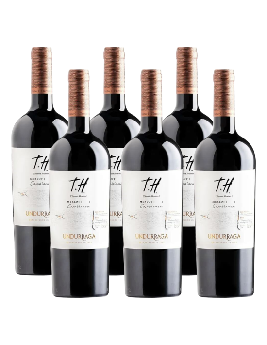 Pack 6 Merlot, Premium, Terroir Hunter, Viña Undurraga