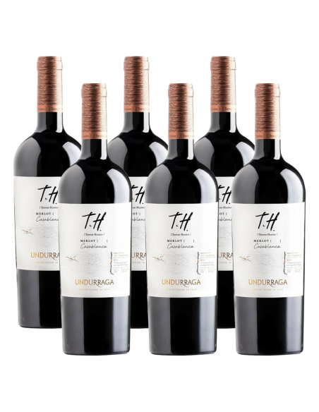 Pack 6 Merlot, Premium, Terroir Hunter, Viña Undurraga