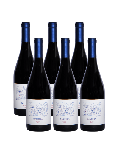Pack 6 Isla Seca Malbec Premium