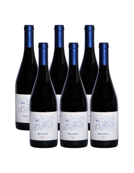 Pack 6 Isla Seca Malbec Premium