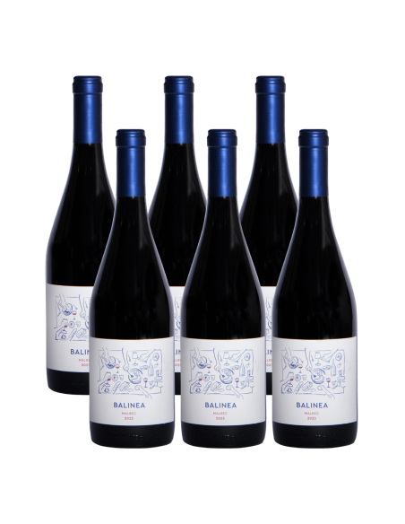 Pack 6 Isla Seca Malbec Premium