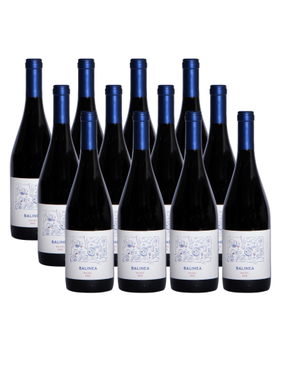 Pack 12 Isla Seca Malbec Premium