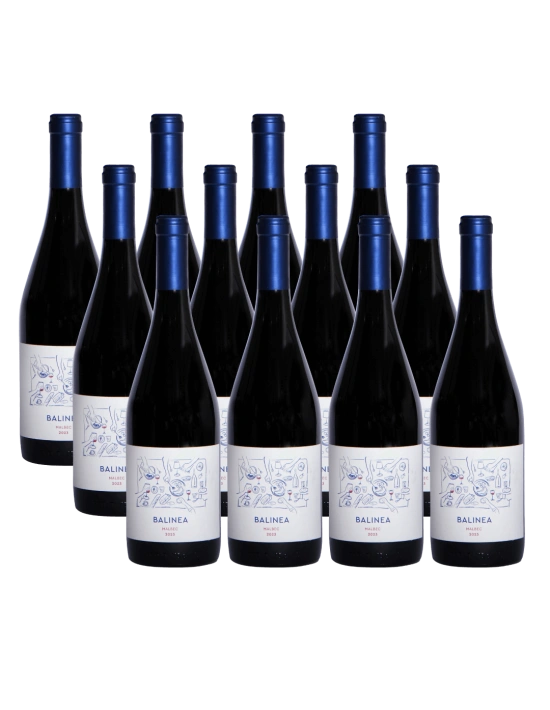 Pack 12 Isla Seca Malbec Premium