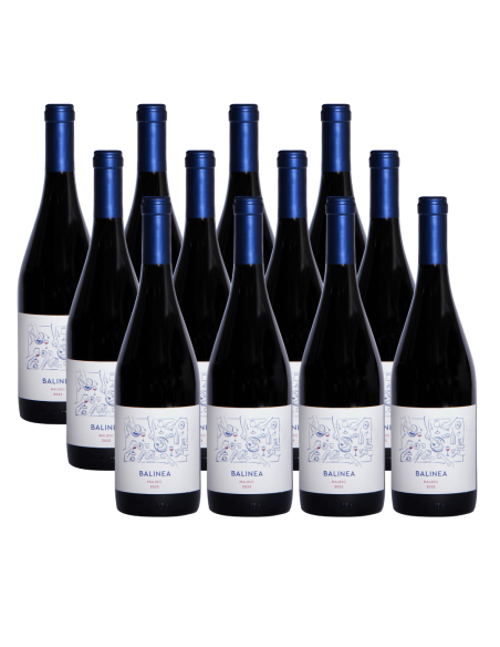 Pack 12 Isla Seca Malbec Premium