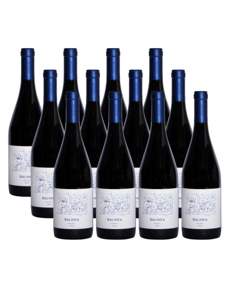 Pack 12 Isla Seca Malbec Premium