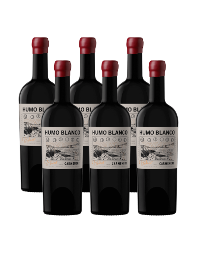 Pack 6 Carmenere, Sin sulfitos, L'atelier