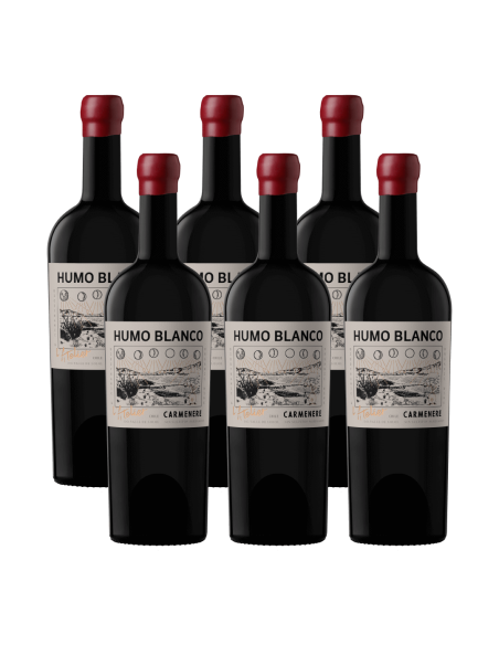 Pack 6 Carmenere, Sin sulfitos, L'atelier