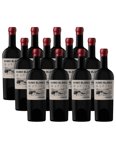 Pack 12 Carmenere, Sin sulfitos, L'atelier