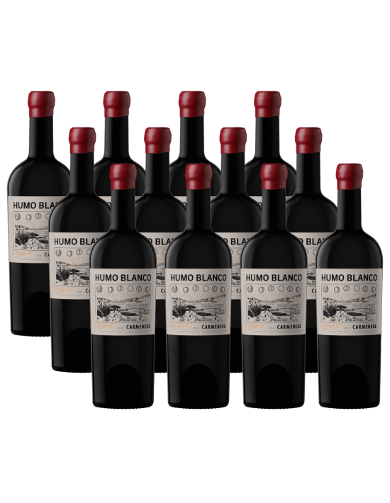 Pack 12 Carmenere, Sin sulfitos, L'atelier