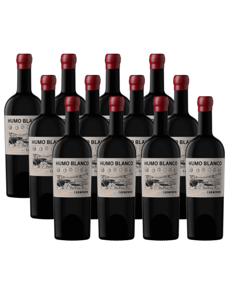 Pack 12 Carmenere, Sin sulfitos, L'atelier