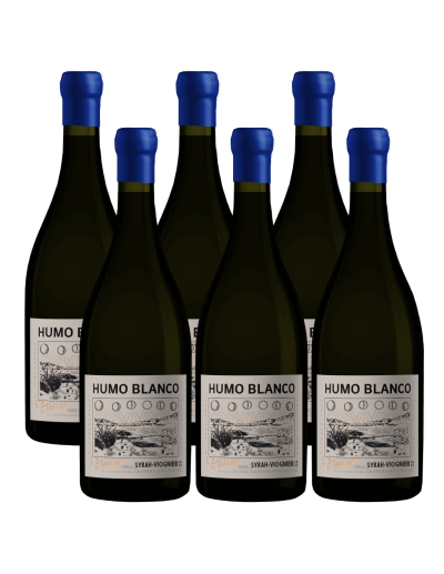 Pack 6 Syrah - Viognier, L'atelier