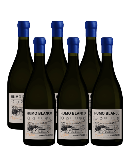 Pack 6 Syrah - Viognier, L'atelier