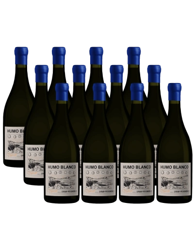 Pack 12 Syrah - Viognier, L'atelier