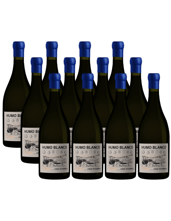 Pack 12 Syrah - Viognier, L'atelier