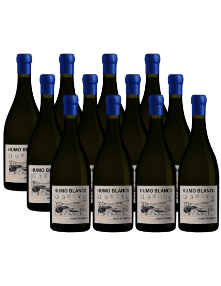 Pack 12 Syrah - Viognier, L'atelier