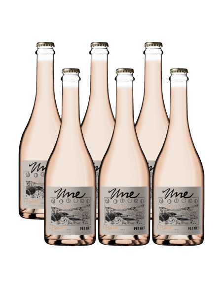 Pack 6 Pet Nat , L'atelier