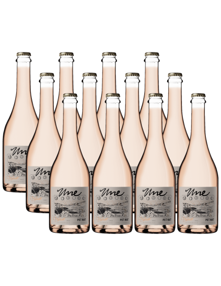 Pack 12 Pet Nat , L'atelier