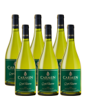Pack 6 Sauvignon Blanc, Gran Reserva, Viña Carmen