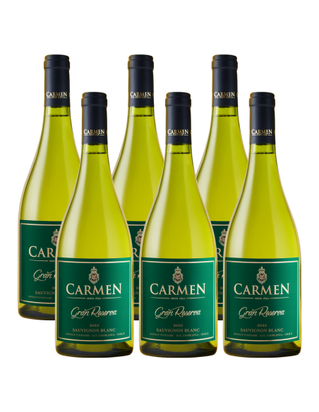 Pack 6 Sauvignon Blanc, Gran Reserva, Viña Carmen