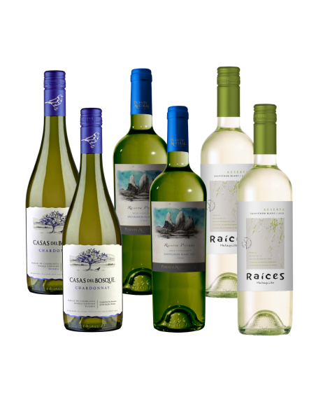 Pack mix 6 vinos Blancos Casas del Bosque, Raíces, Puente Austral